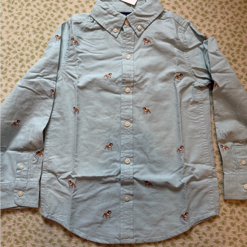 Light Blue Embroidered Shirt
